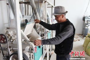 青海新一轮农网升级改造惠及32.29万户农牧民